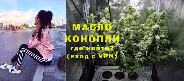 mix Вяземский