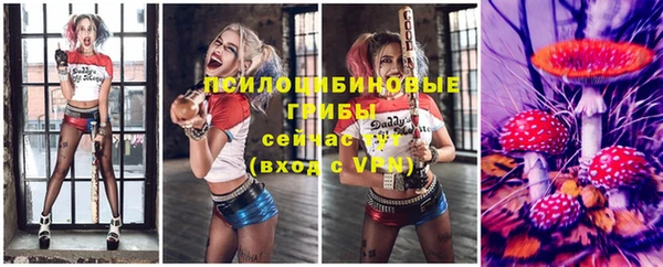 mix Вяземский
