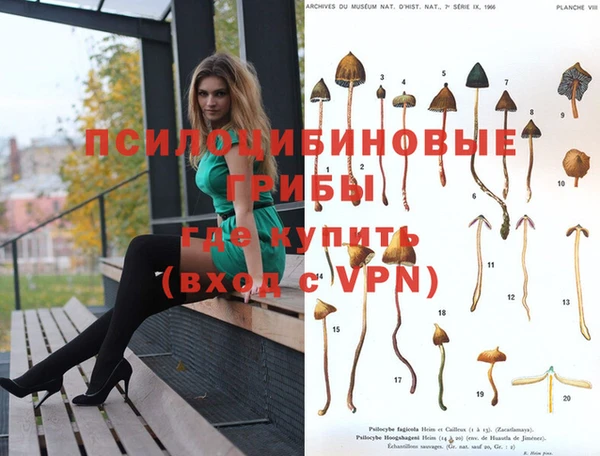 гидропоника Семёнов