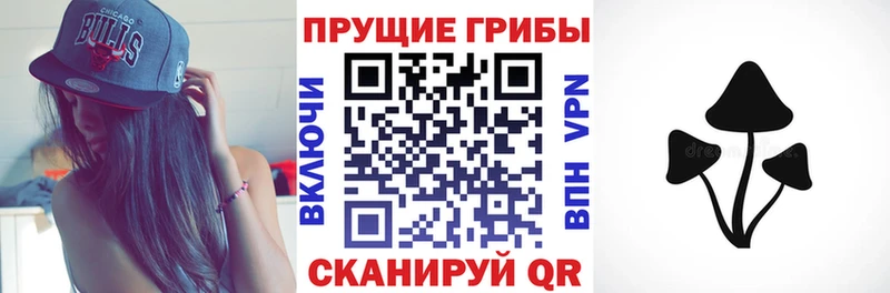 Псилоцибиновые грибы Psilocybe  дарк нет Telegram  Ноябрьск 
