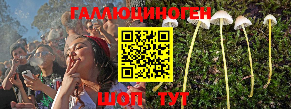 Галлюциногенные грибы Psilocybine cubensis Ноябрьск