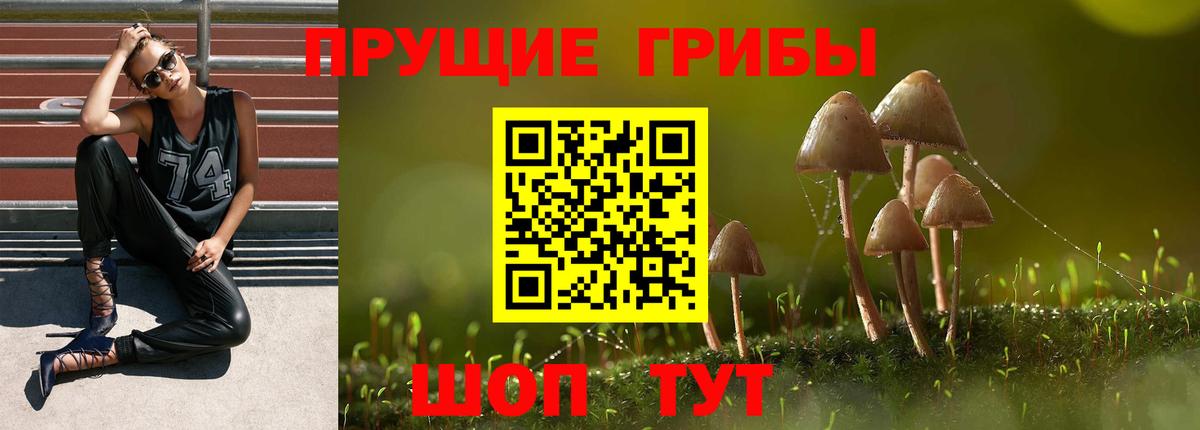 Галлюциногенные грибы мицелий  Вход с VPN  Ноябрьск 